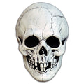Nightowl Skull - White