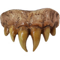 Bitemares Horror Teeth - Vampire Master
