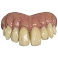 Bitemares Horror Teeth - Goofy Teeth