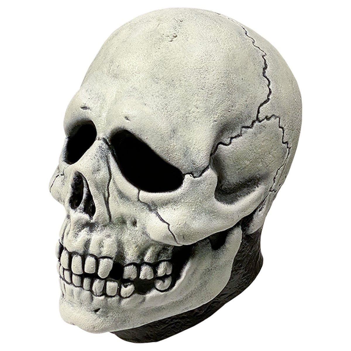 Don Post - Skull Mask